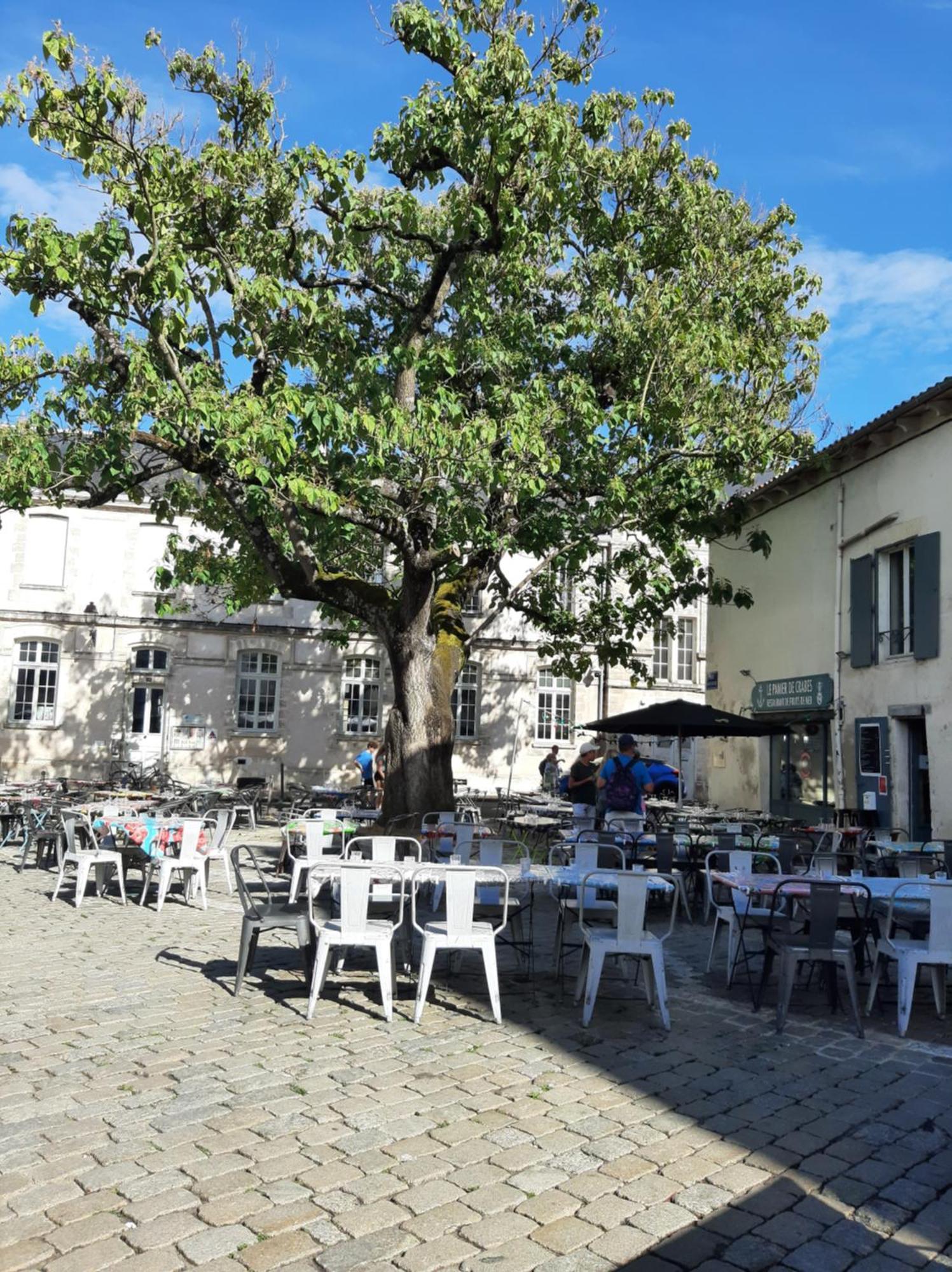 Comtesse Lägenhet La Rochelle  Exteriör bild